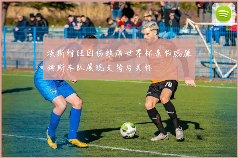 埃斯特旺因伤缺席世界杯亲临威廉姆斯车队展现支持与关怀