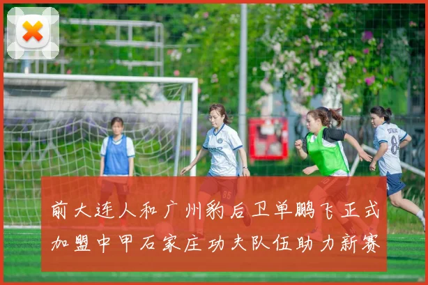 前大连人和广州豹后卫单鹏飞正式加盟中甲石家庄功夫队伍助力新赛季