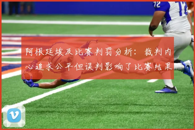 阿根廷埃及比赛判罚分析：裁判内心追求公平但误判影响了比赛结果