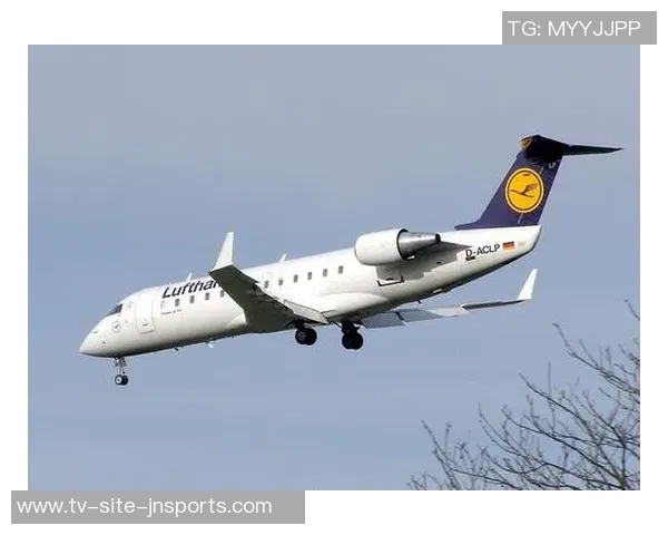 独行侠赛季前全新升级球队私人飞机展现豪华风范